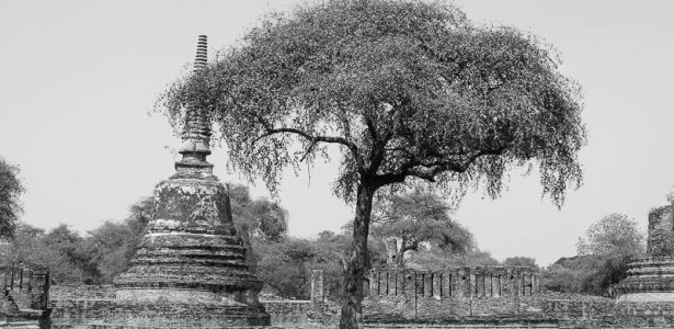 Ayutthaya